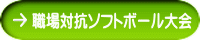 職場対抗ソフトボール大会 